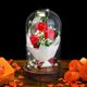 thumbnail image 1 of Die Schne Und Das Biest Rose Geschenk Kit, Ewige Rosen, Rote Seide Rose Und Led Licht Fr Hauptdekor Geburtstag, Hochzeit, Valentinstag, Muttertag, Jub, 1 of 5