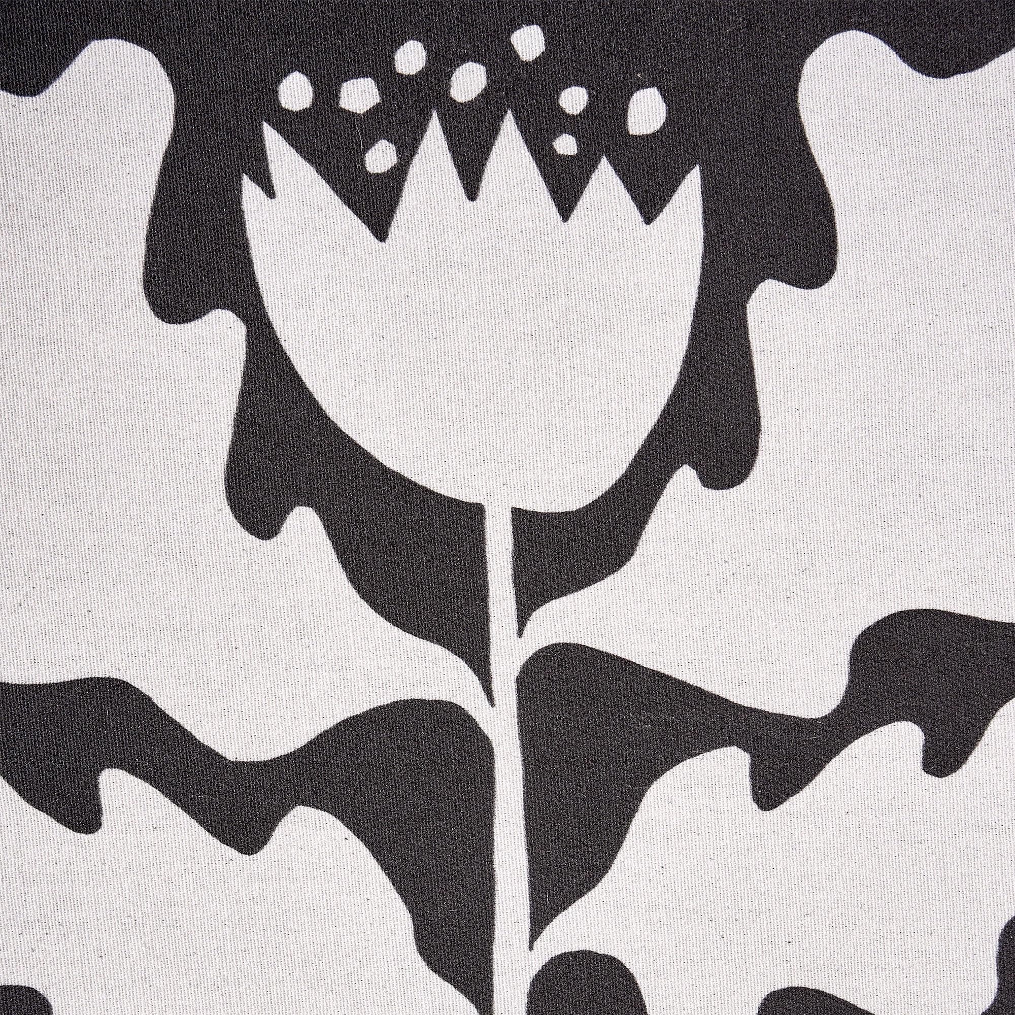 Beautiful Framed Graphic Flower Wall Decor, Set of 2 by Drew Barrymore 13.5" X 17.5"