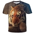 thumbnail image 1 of Linda serie de animales de león, nueva camiseta de juego para bebés, ropa con estampado de dibujos animados, camiseta de manga corta 3D Harajuku para 3-14 T6T Gao Jinjia LED, 1 of 2