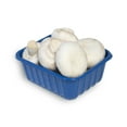 Fresh Whole White Mushrooms, 8 oz - Walmart.com