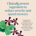 thumbnail image 5 of Nature's Way Cold Relief Chewable Tablets, Umcka, Multi-Symptom Cold Relief, Cherry Flavored, 20ct, 5 of 7