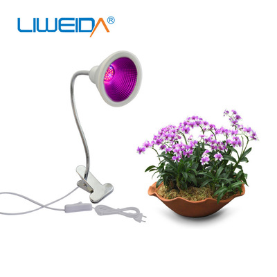desk light for plants