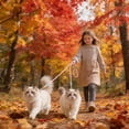 thumbnail image 6 of Double Dog Leash, Walking Training Lead with Foam Handle, Gradient Nylon Rope, Lead Coupler for Small to Medium Dogs _ Pink, 6 of 6