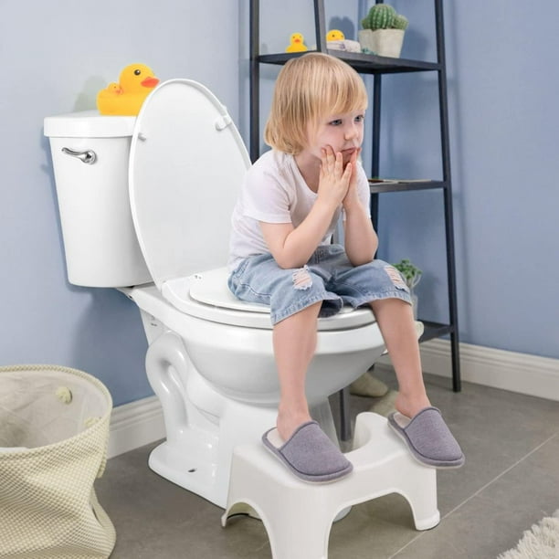 Potty seat walmart clearance canada
