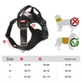 thumbnail image 3 of CIYISON LED Dogs Harness Glowing Pet Harness Light-Up Vest No Pulls Adjustable Harness, 3 of 20