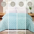 thumbnail image 4 of Exclusivo Mezcla Fleece Throw Blanket for Couch, Super Soft Warm Lightweight Checkered Pattern Blanket for All Seasons, Light Blue, 50"x60", 4 of 7