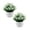 F*2, variant on 1 Pcs Mini Artificial Plant, Non-Fading Potted Fake Plants with Planter Pot Decorative Photo Props Plastic Desktop Decorative Faux Plant for Home Desk Room Decoration