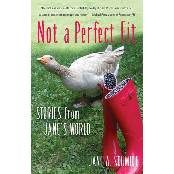 Not a Perfect Fit: Stories from Jane's World, (Paperback)