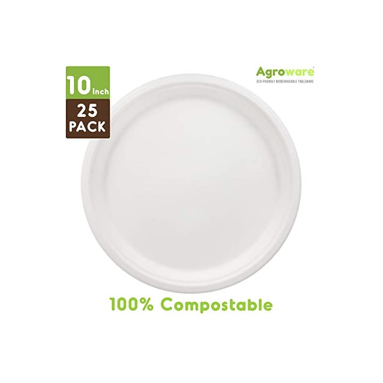 Biodegradable 10 Inch Round Take Out Food Plates. Microwaveable