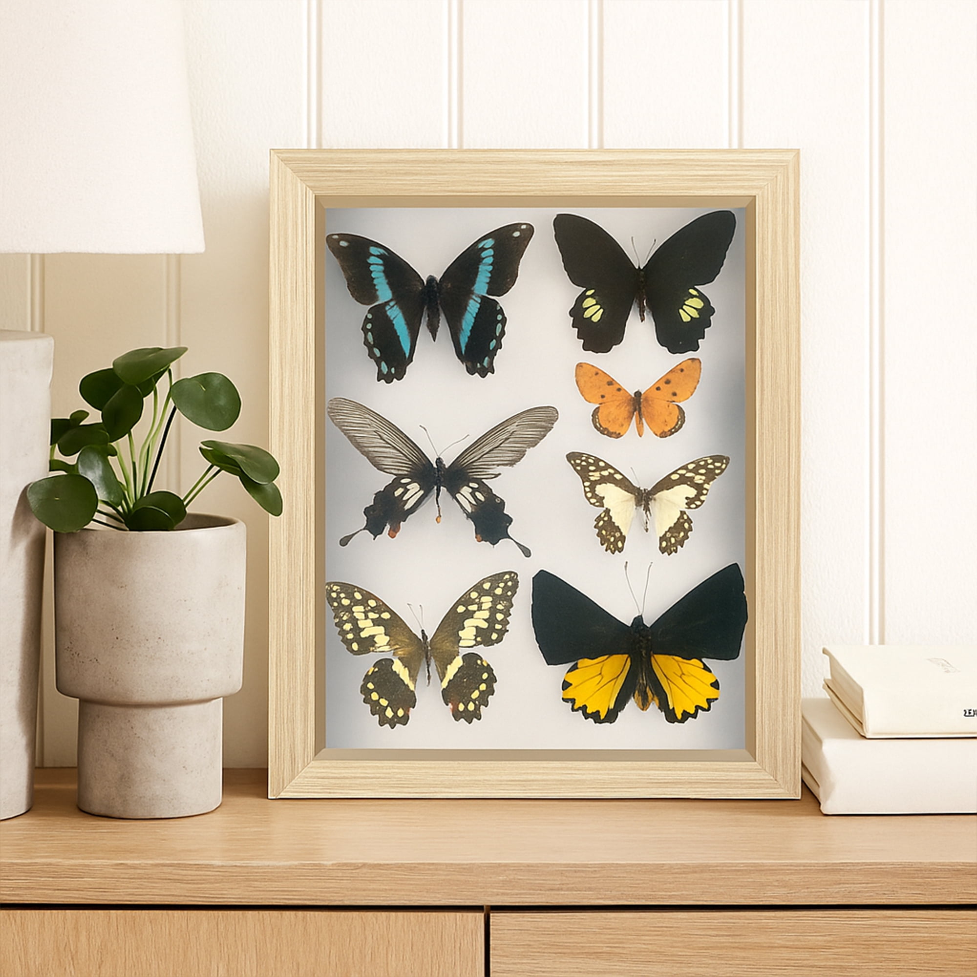 Americanflat 8x10 Shadow Box Frame with Shatter-Resistant Glass Silhouette - Dark Oak with Soft Felt Back