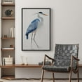 thumbnail image 2 of PixonSign Framed Canvas Print Wall Art Watercolor Pastel Blue Heron Bird Side Profile Animals Wilderness Illustrations Modern Art Antique Vintage Farmhouse Relax/Calm/Cozy - 16"x24" Black, 2 of 5