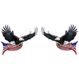 24*32 eagle newest with flag photograph