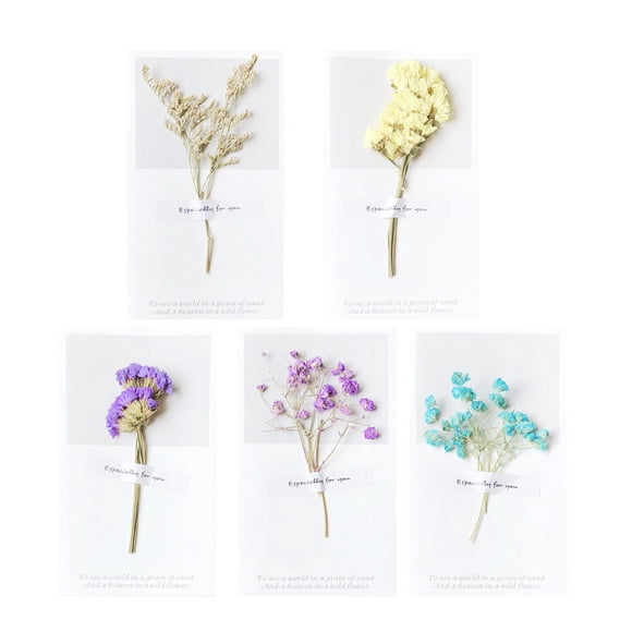 CIMAXIC 10 Pcs Cartes de Vœux Fête d'Anniversaire Fleurs Séchées Cadeau Parrty Wish