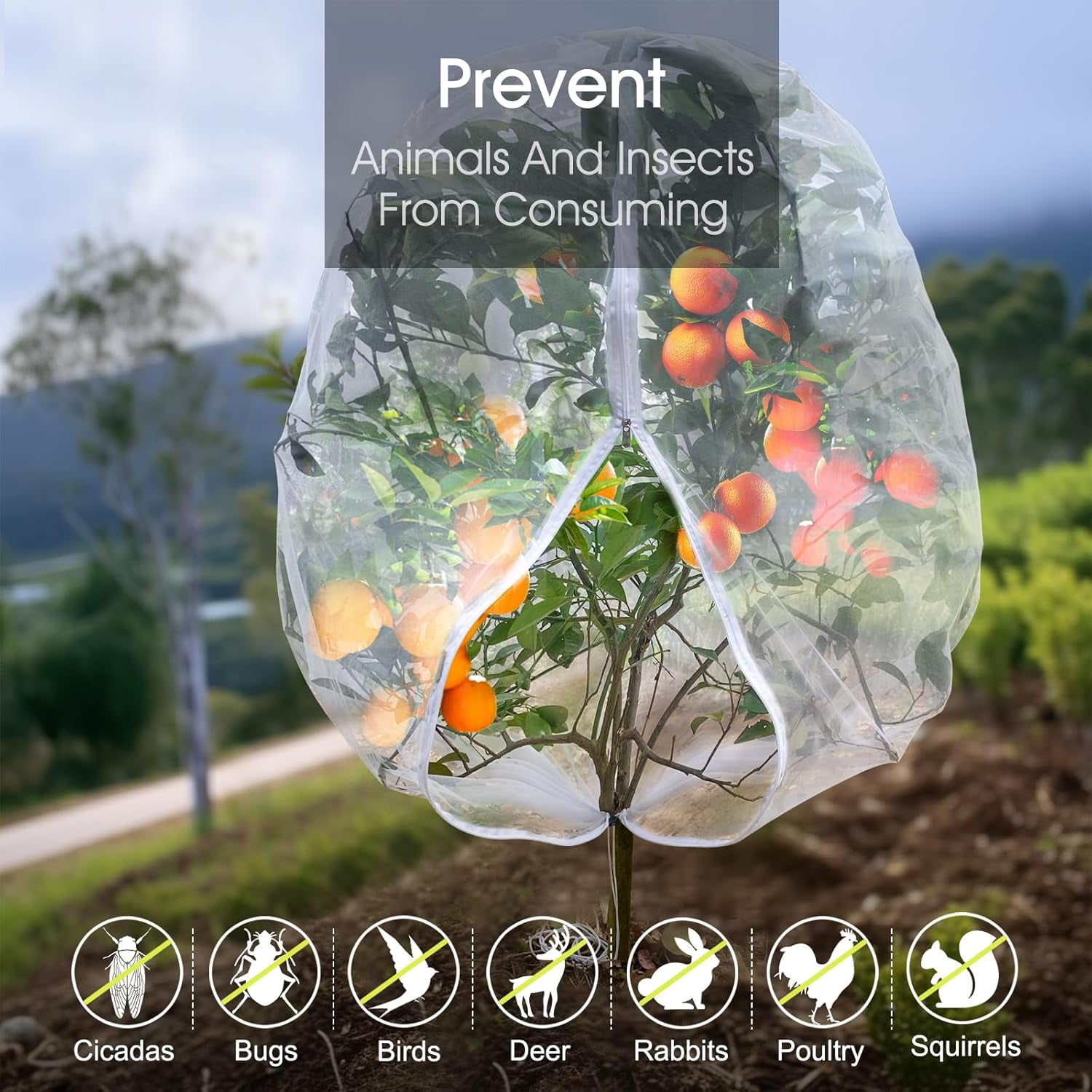 Fruit Tree Netting,  3.3 x 2.6 FT Blueberry Bush Netting Cover with Zipper Drawstring, Outdoor Mosquito Net Garden Netting Protector Plant from Birds Cicadas Animals Insect (4 PCS, White)