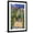 Black Frame, variant on The Artist's Garden at Vetheuil Art Print by Claude Monet, 16" x 24", Sold by Art.com