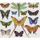 thumbnail image 4 of Hilo Algodón Ecológico Bordado Parcial Punto Cruz Mariposa Impreso 14CT 34x30cm, 4 of 8