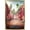 Gold Framed Version, variant on Netflix One Piece: Season 2 (2026) - Whisky Peak Key Art Wall Poster with Magnetic Frame, 22.375" x 34"