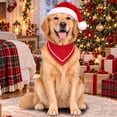 thumbnail image 6 of Goodw7 Christmas Pet Bandana Scarf, Satin Drool Bib for Dogs and Cats with Soft Smooth Texture, Holiday Accessory for Holiday Cards and Family Gatherings, 6 of 7