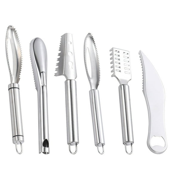 HEMOTON 6Pcs Household Fish Descaler Professional Scale Removers Convenient Descaler Tools