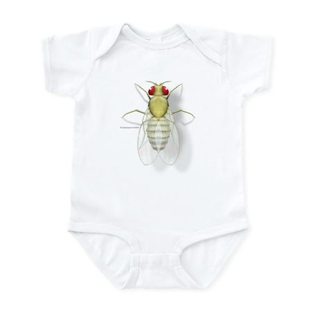 

CafePress - Drosophila Infant Bodysuit - Baby Light Bodysuit Size Newborn - 24 Months