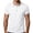 White, variant on Polos Shirts For Men Short Sleeve Breathable Moisture Wicking Golf T Shirt Lapel Button Color Block Fashion Tees (XL, Black)