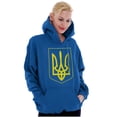 thumbnail image 4 of Ukraine Pride Vintage Coat of Arms Hoodie Sweatshirt Women Men Brisco Brands L, 4 of 5