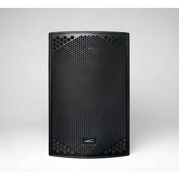 Sistema de Audio Profesional Audiobahn IMMORTAL15 15 pulgadas 1000W RMS