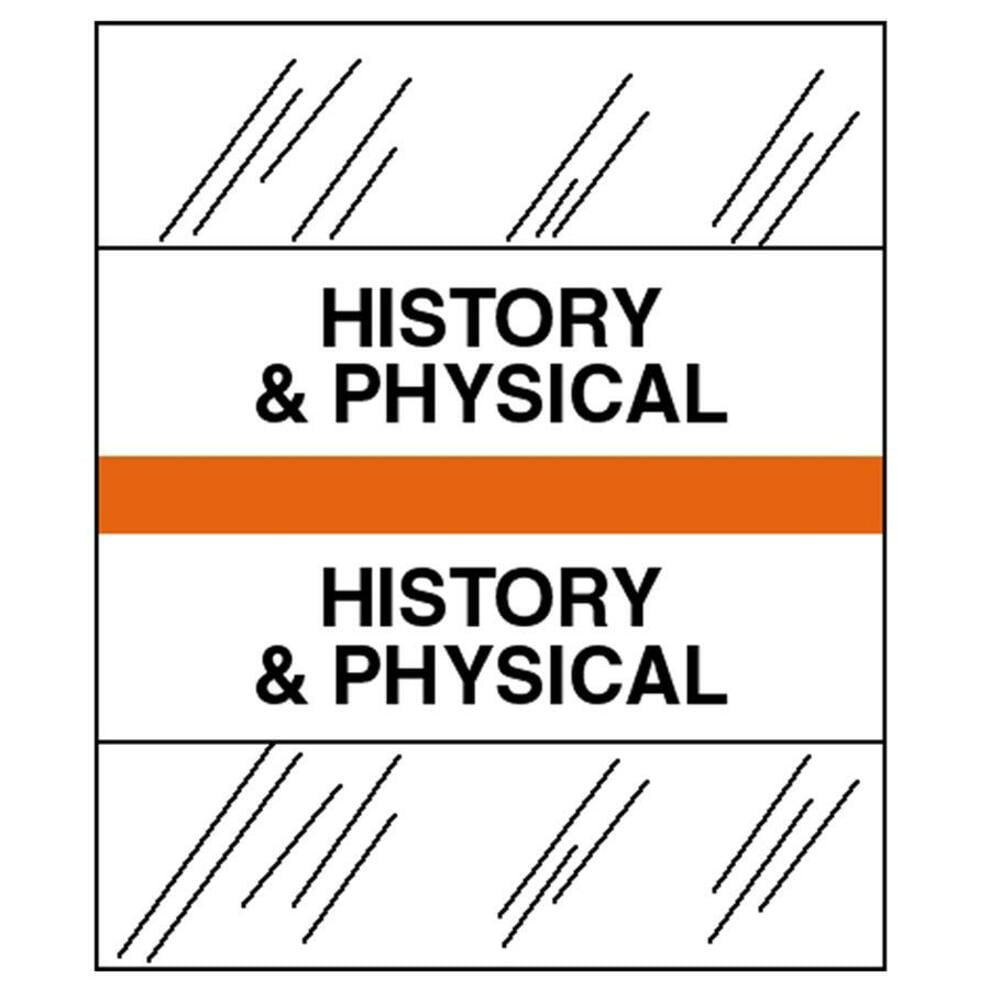 Tabbies Medical Chart Index Divider Tab
