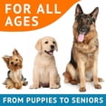 thumbnail image 3 of Omega 3 Alaskan Fish Oil Treats for Dogs (180 Ct) - Dry & Itchy Skin Relief + Allergy Support - Shiny Coats - EPA&DHA Fatty Acids - Natural Salmon Oil Chews Promotes Heart, Brain, Hip & Joint Support, 3 of 10