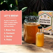 Craft A Brew Kombucha Starter Kit | 1 Gallon | Complete Home Brewing Kit with SCOBY Culture Claim Card