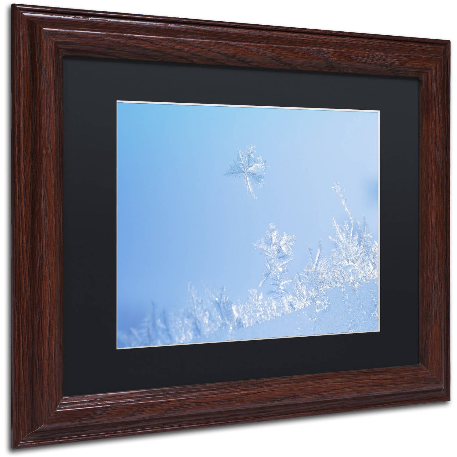 Trademark Fine Art "Window Frost" Canvas Art by Kurt Shaffer Black Mat, Wood Frame