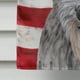 Carolines Treasures SC9634CHF Scottish Deerhound avec Drapeau Américain Drapeau Toile Maison Taille – image 4 sur 4