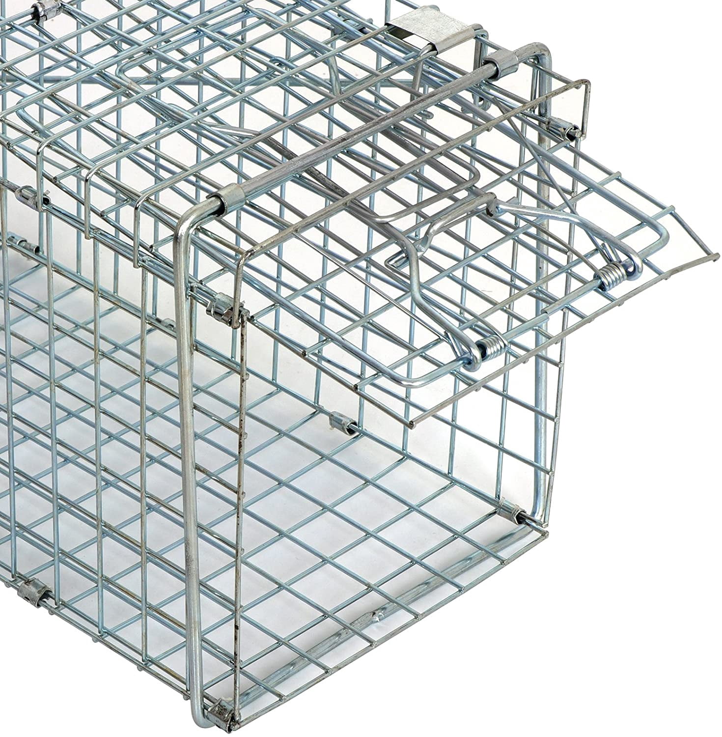 ANHXN Small Live Animal Trap Steel Cage Catch and Release One Door Humane Rodent Cage Trap for Little Rabbits/Stray Cats/Squirrel/Skunk/Mink/Opossum Outdoor Animals