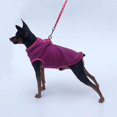 thumbnail image 6 of Zonghan Pet Fall Winter Polar Fleece Warm Thicken Buttoned Sweatshirt Dark purple L size, 6 of 11