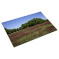 thumbnail image 3 of Print: Rural Alabama In The Spring, 2010, 3 of 4