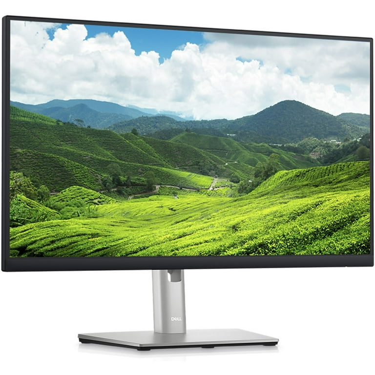 Dell 24\