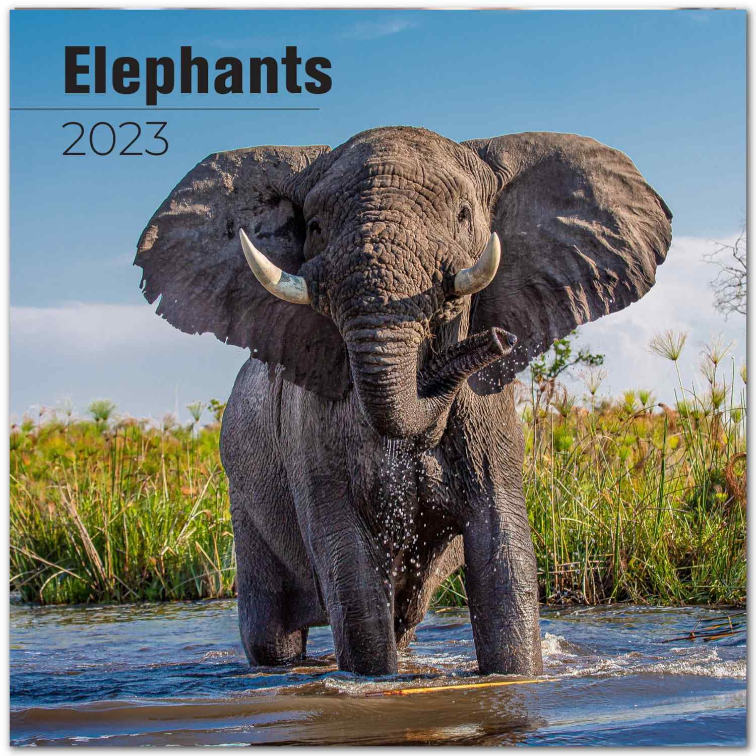 2022 2023 Elephants Calendar - African Wildlife Monthly Wall Calendar - 12 x 24 Open - Thick No-Bleed Paper - Giftable - Academic Teacher's Planner Calendar Organizing & Planning - Made in USA