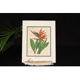 thumbnail image 1 of BIRD OF PARADISE TAPA HAWAIIAN - 11 X 14 PAINTING, 1 of 1