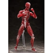 figma Human Model Non-scale ABS & PVC Pre-painted Movable Figure F51042