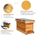thumbnail image 3 of Kit de caja nuc de 5 cuadros MayBee para colmena, recubierta de cera, 3 of 7