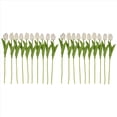 thumbnail image 3 of 20 Piezas Blancas 13.8 Pulgadas Flores de Tulipanes Artificiales para la DecoracióN Del Partido, Hogar Boda, 3 of 5