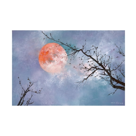Canvas Wall Art - Thomas Leung 'Under the Moon' Wall Art for Living Room, Bedroom, or Office Décor by Trademark Fine Art - 19 x 12 Inches