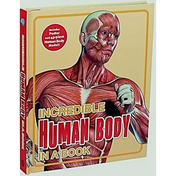 Libro Incredible Human Body In A Book Tapa Dura, Autor Arcturus, Editorial Arcturus Publishing