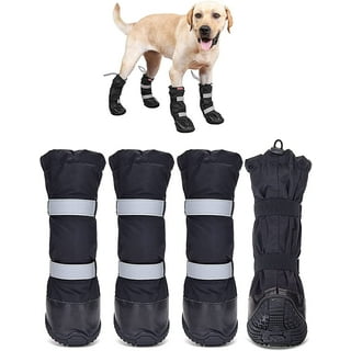 Hipaw Walmart Canada