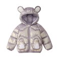 thumbnail image 2 of Hicidod Puffer Jacket for Girls Boys Hooded Zipper Thicken Warm Winter Coats Lightweight Cute Print Toddler Down Jackets, 2 of 4