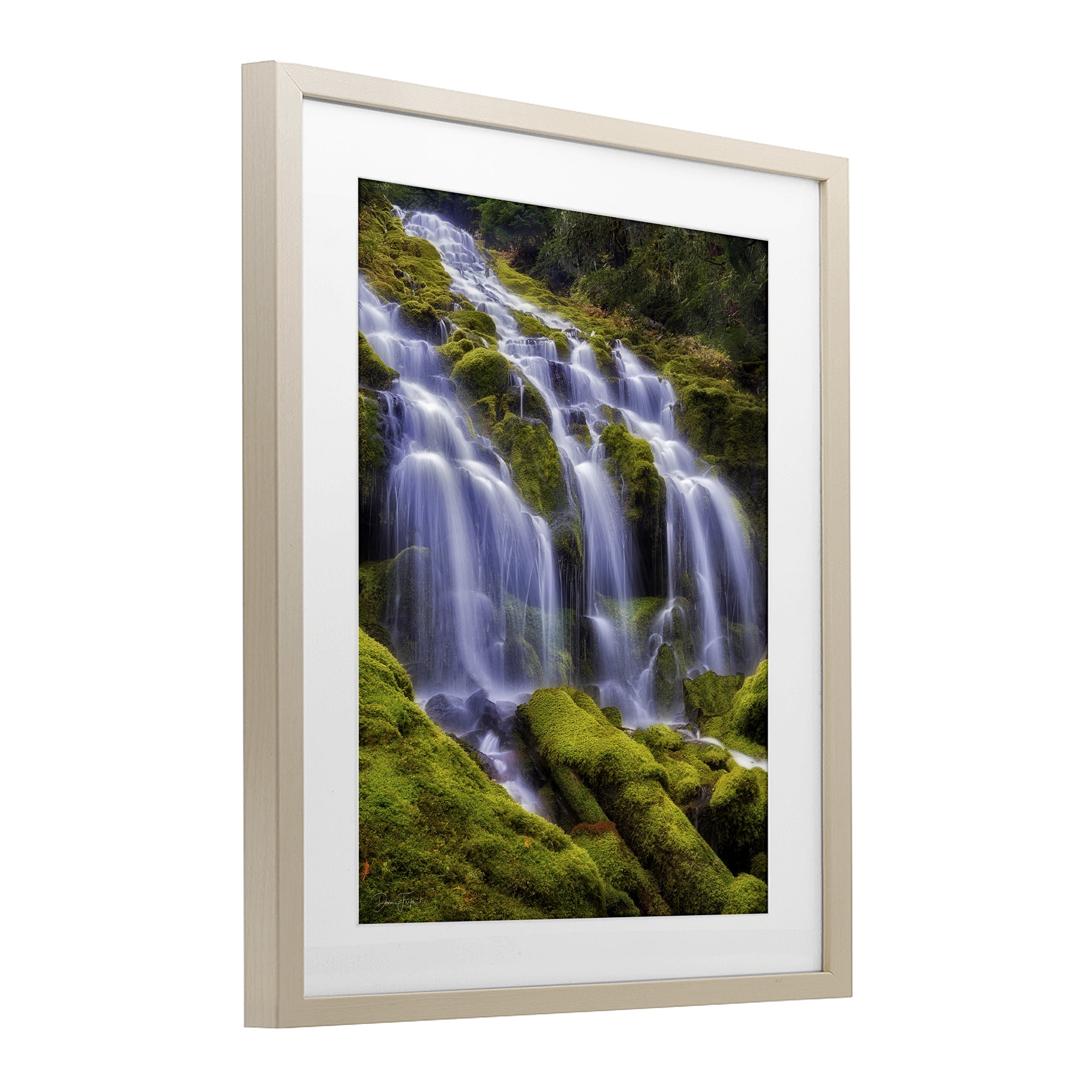Stupell Industries Upper Proxy Falls Birch Framed Print Under Glass, design by Dennis Frates