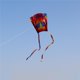 thumbnail image 5 of Cometa De Bolsillo Para Niños Rainbow Parafoil Kite Regalo Para Niños Familia Eigraketly OD016777-01, 5 of 6