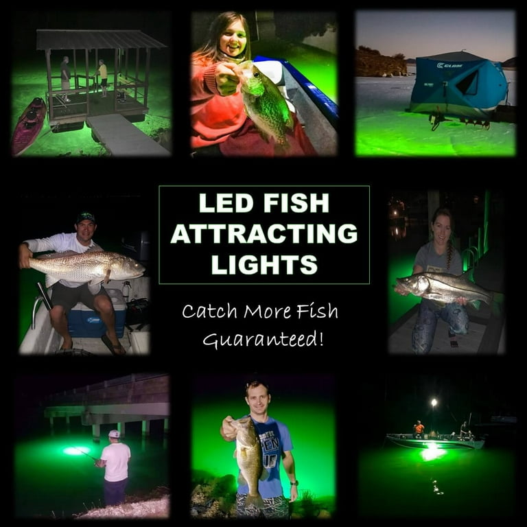 Reel BriteBite LED Fishing Lights, Size: 120', White