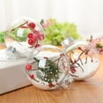 thumbnail image 5 of Happy Date 2Pcs Christmas Bulb Ornament Balls Clear Plastic Glass Ball Craft Baubles Ornaments Fillable Unbreakable Shatterproof Hanging Tree Ornaments Snow Berry Pine Filling Ornaments, 5 of 8