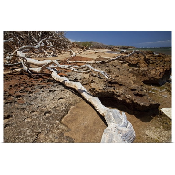 Great BIG Canvas | "Hawaii, Lanai, Shipwreck Beach, Kaiolohia, Driftwood On Beach" Art Print - 30x20